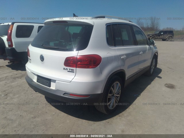 WVGBV7AX1DW516803  volkswagen tiguan 2013 IMG 3