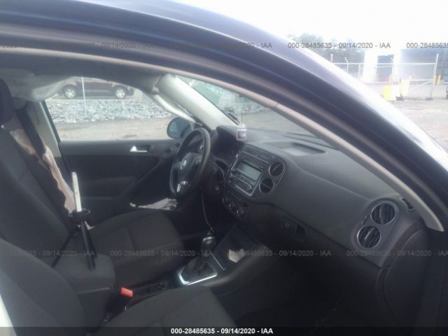 WVGBV7AX1DW538915  volkswagen tiguan 2013 IMG 4