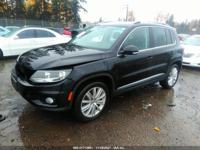 WVGBV7AX3CW530717  volkswagen tiguan 2012 IMG 1