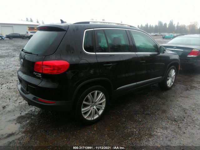 WVGBV7AX3CW530717  volkswagen tiguan 2012 IMG 3