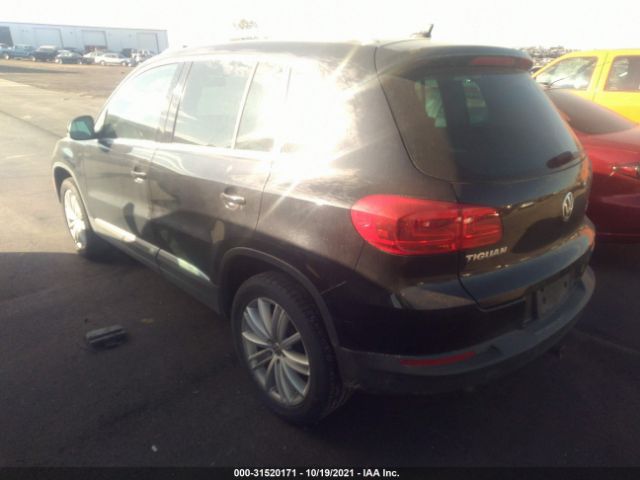 WVGBV7AX5DW550128  volkswagen tiguan 2013 IMG 2