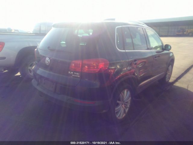 WVGBV7AX5DW550128  volkswagen tiguan 2013 IMG 3