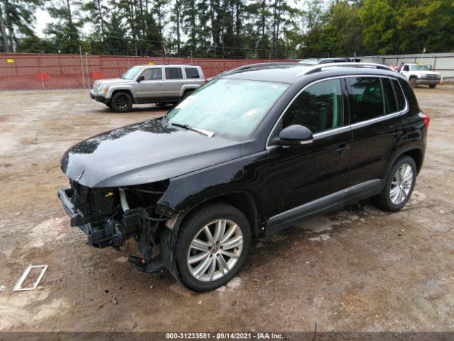 WVGBV7AX7DW507717  volkswagen tiguan 2012 IMG 1