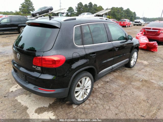 WVGBV7AX7DW507717  volkswagen tiguan 2012 IMG 3