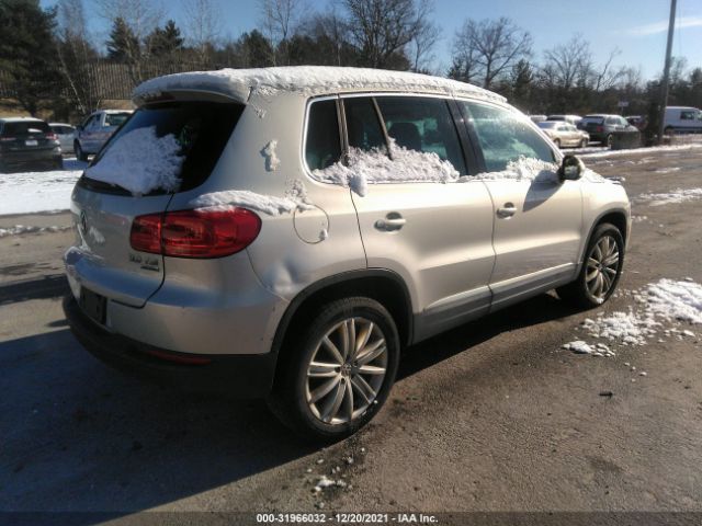 WVGBV7AX7DW548428  volkswagen tiguan 2013 IMG 3