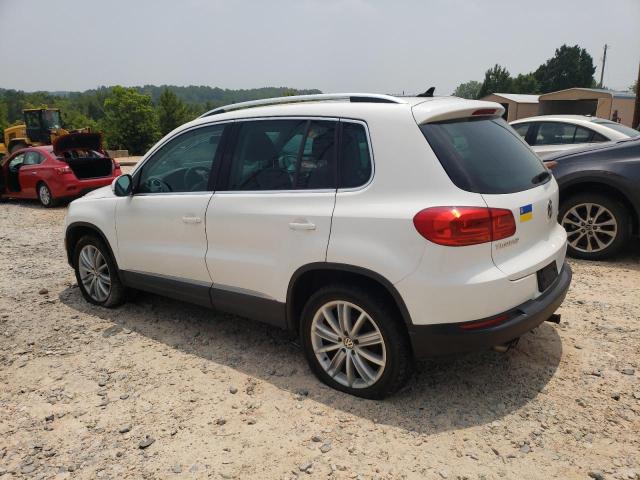 WVGBV7AXXCW561656  volkswagen tiguan 2012 IMG 1