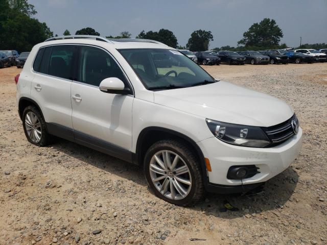 WVGBV7AXXCW561656  volkswagen tiguan 2012 IMG 3