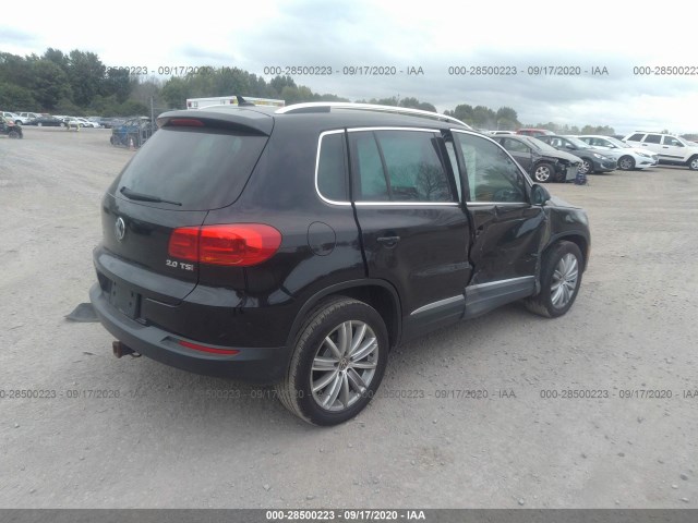 WVGAV3AX5DW611272  volkswagen tiguan 2013 IMG 3