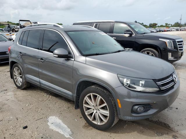 WVGAV3AX7EW568569  volkswagen tiguan 2013 IMG 3