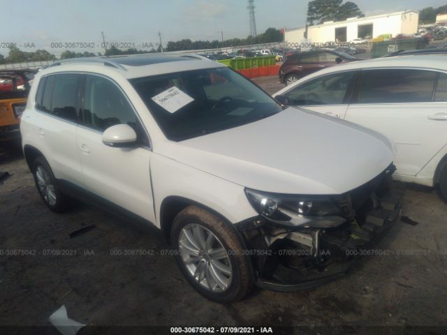 WVGAV3AX8DW609323  volkswagen tiguan 2013 IMG 0