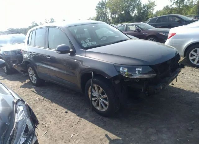 WVGAV3AX8EW553465  volkswagen tiguan 2014 IMG 0