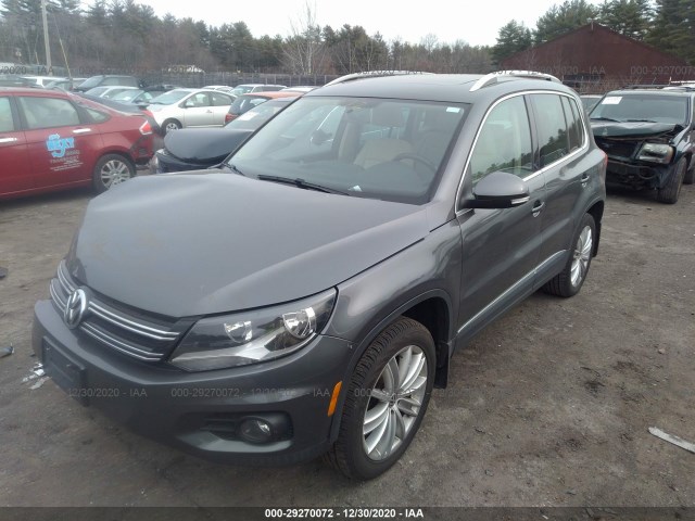 WVGBV3AX0DW612818  volkswagen tiguan 2013 IMG 1