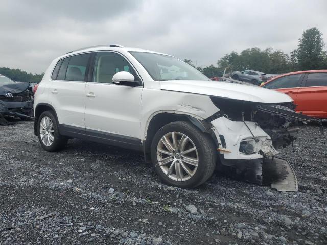 WVGBV3AX2DW566604  volkswagen tiguan 2013 IMG 3