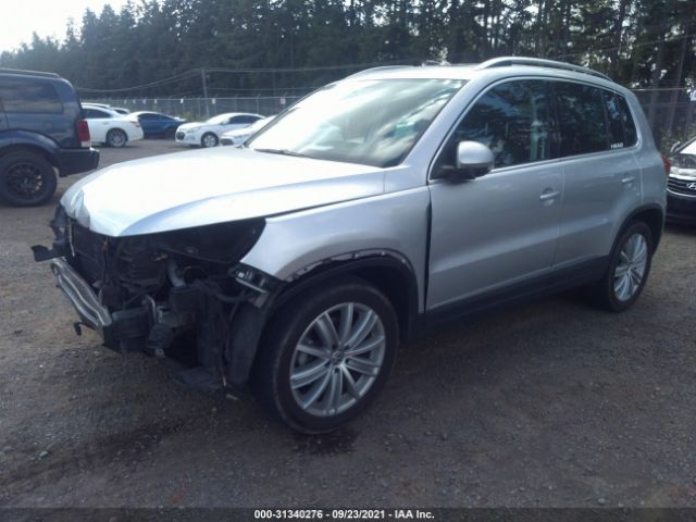 WVGBV3AX3DW077225  volkswagen tiguan 2013 IMG 1