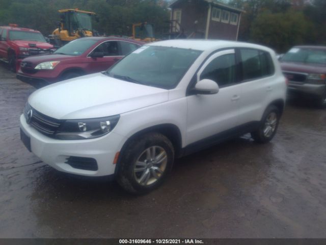 WVGBV3AX4DW594145  volkswagen tiguan 2013 IMG 1