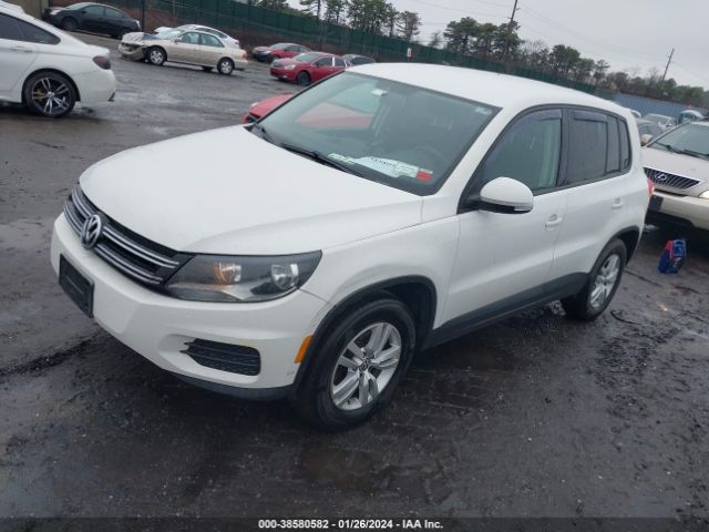 WVGBV3AX4DW602762  volkswagen tiguan 2013 IMG 1