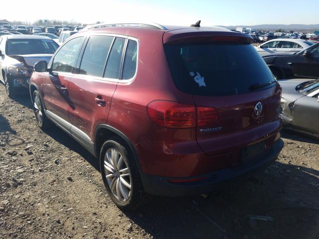 WVGBV3AX4EW025894  volkswagen tiguan 2013 IMG 2