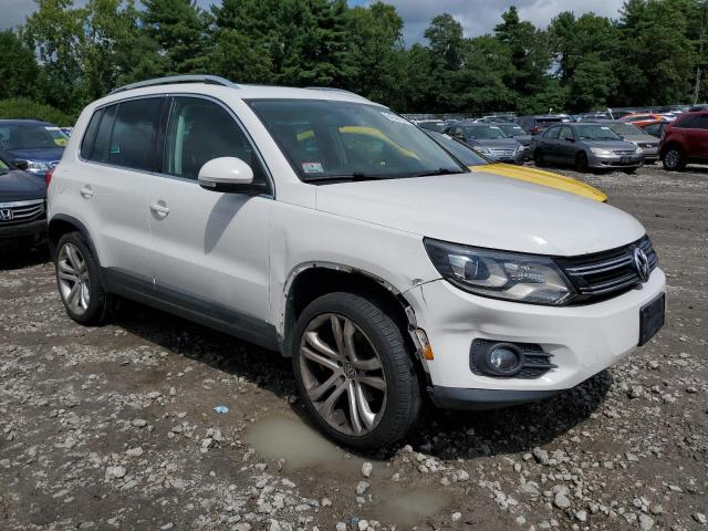 WVGBV3AX5DW625483  volkswagen tiguan 2013 IMG 3