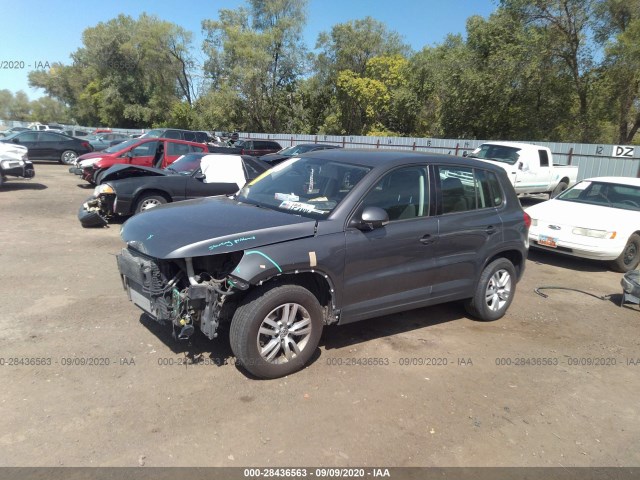 WVGBV3AX6DW595524  volkswagen tiguan 2013 IMG 1