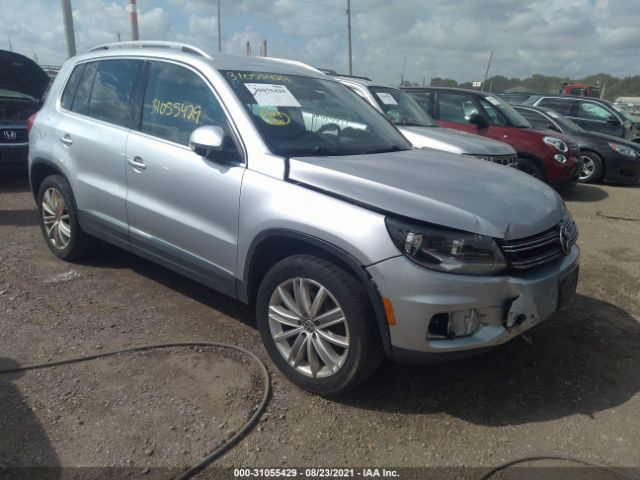 WVGBV3AX8DW610881  volkswagen tiguan 2013 IMG 0