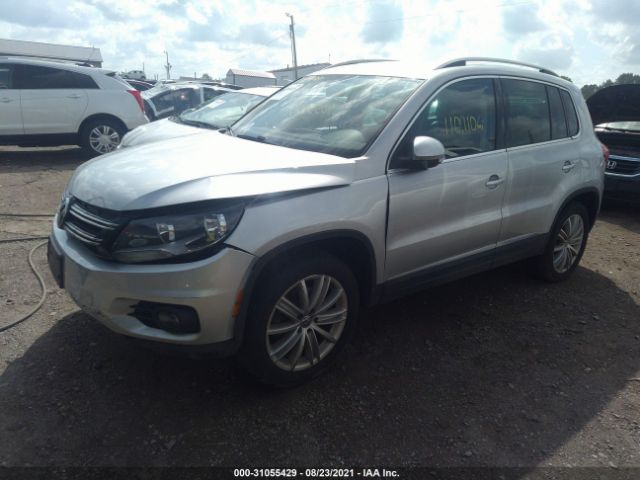 WVGBV3AX8DW610881  volkswagen tiguan 2013 IMG 1