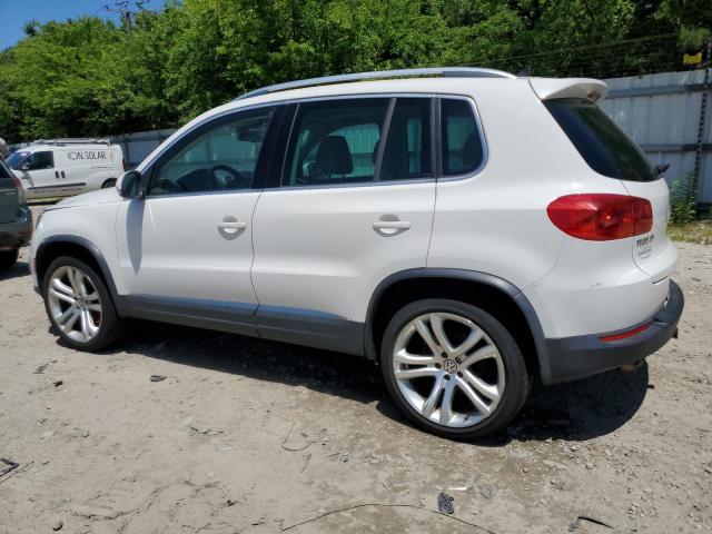 WVGBV7AX6DW546069  volkswagen tiguan 2013 IMG 1