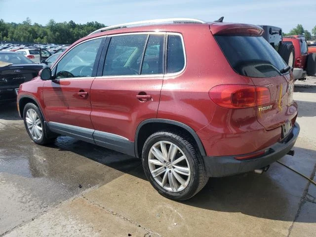 WVGBV3AXXEW094637  volkswagen tiguan 2014 IMG 1