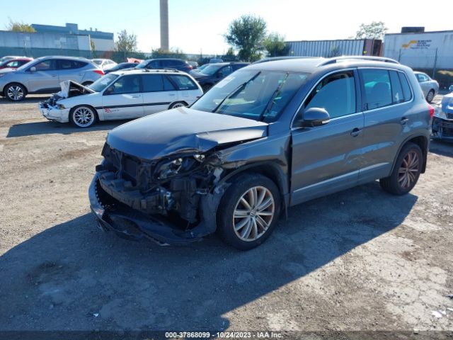 WVGBV7AX5FW565764  volkswagen tiguan 2015 IMG 1