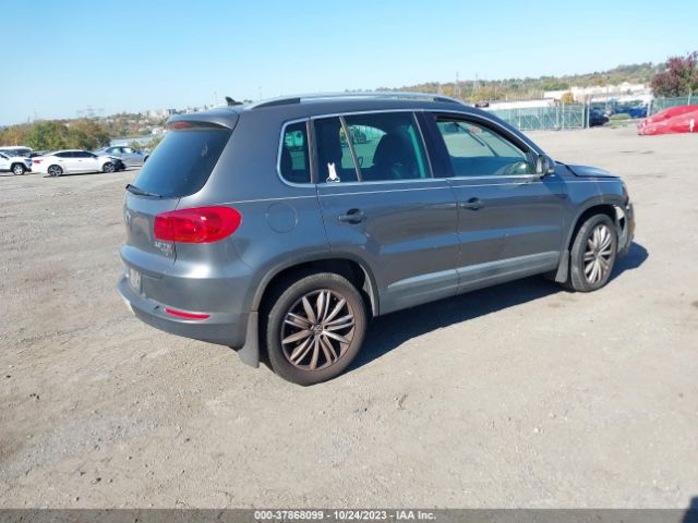 WVGBV7AX5FW565764  volkswagen tiguan 2015 IMG 3