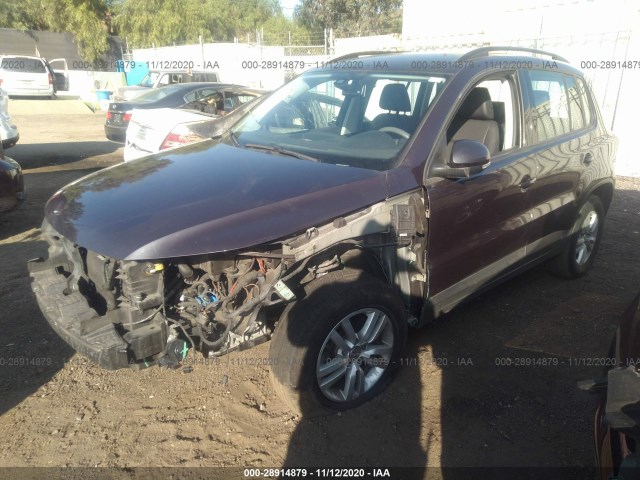 WVGAV7AX1GW528336  volkswagen tiguan 2016 IMG 1