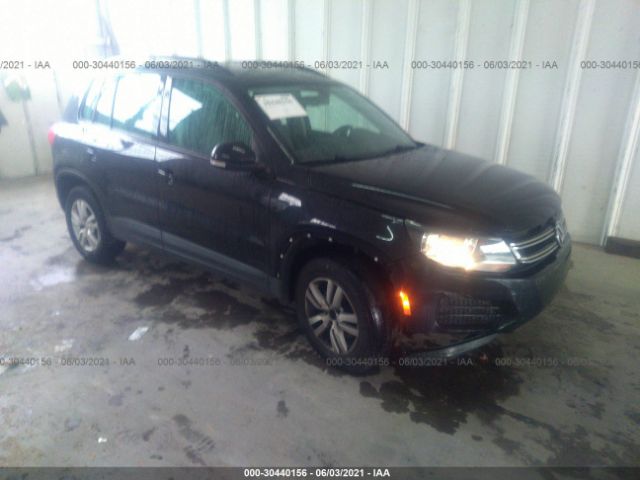 WVGAV7AX3GW543727  volkswagen tiguan 2016 IMG 0