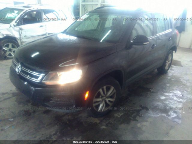 WVGAV7AX3GW543727  volkswagen tiguan 2016 IMG 1