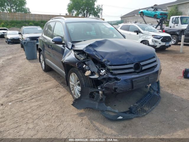 WVGBV7AX5GW547346  volkswagen tiguan 2016 IMG 5