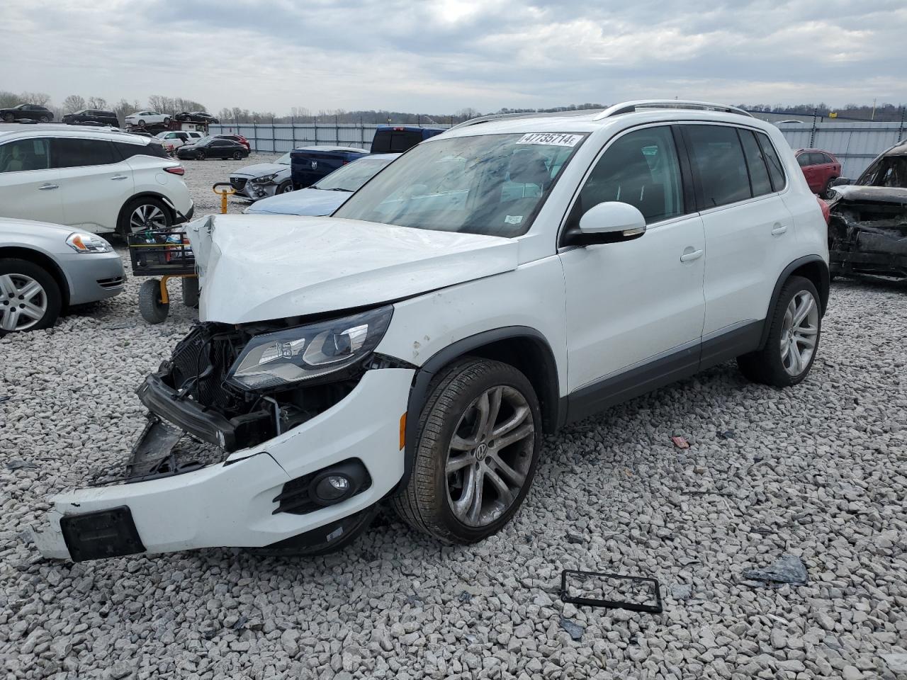 WVGBV7AX6GW551339  volkswagen tiguan 2015 IMG 0