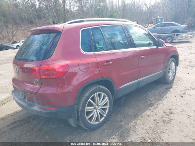 WVGBV7AX7GW047804  volkswagen tiguan 2016 IMG 3