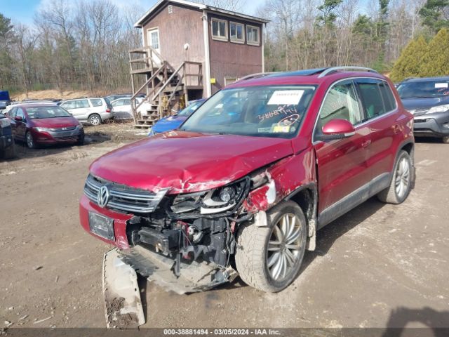 WVGBV7AX7GW047804  volkswagen tiguan 2016 IMG 5