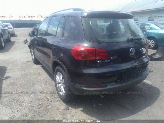 WVGBV7AX8GW515524  volkswagen tiguan 2016 IMG 2