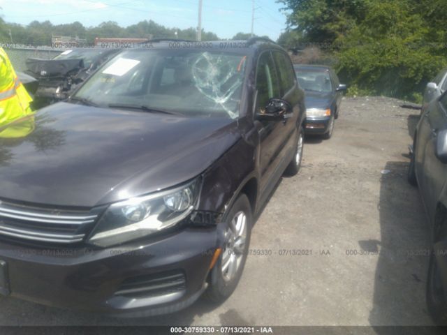 WVGBV7AX8GW515524  volkswagen tiguan 2016 IMG 5