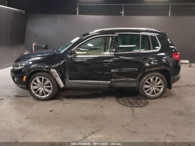 WVGBV7AX9FW603044  volkswagen tiguan 2015 IMG 5