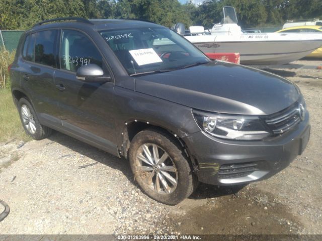 WVGBV7AXXFW577666  volkswagen tiguan 2015 IMG 0