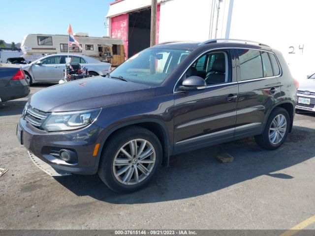 WVGBV7AXXGW506680  volkswagen tiguan 2015 IMG 1