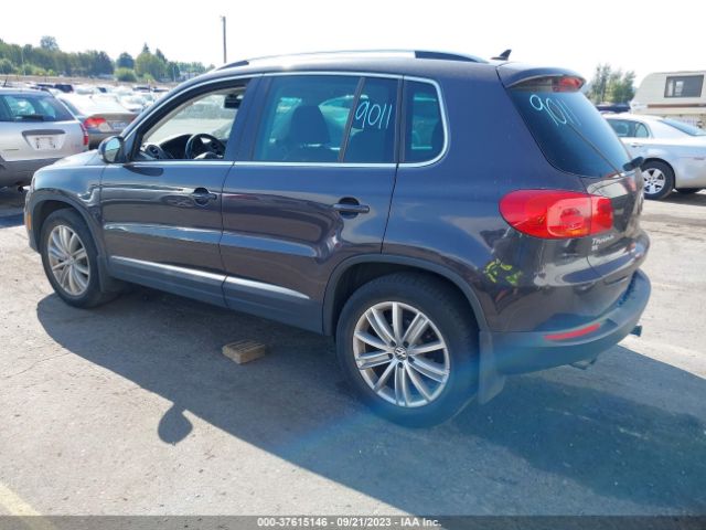 WVGBV7AXXGW506680  volkswagen tiguan 2015 IMG 2