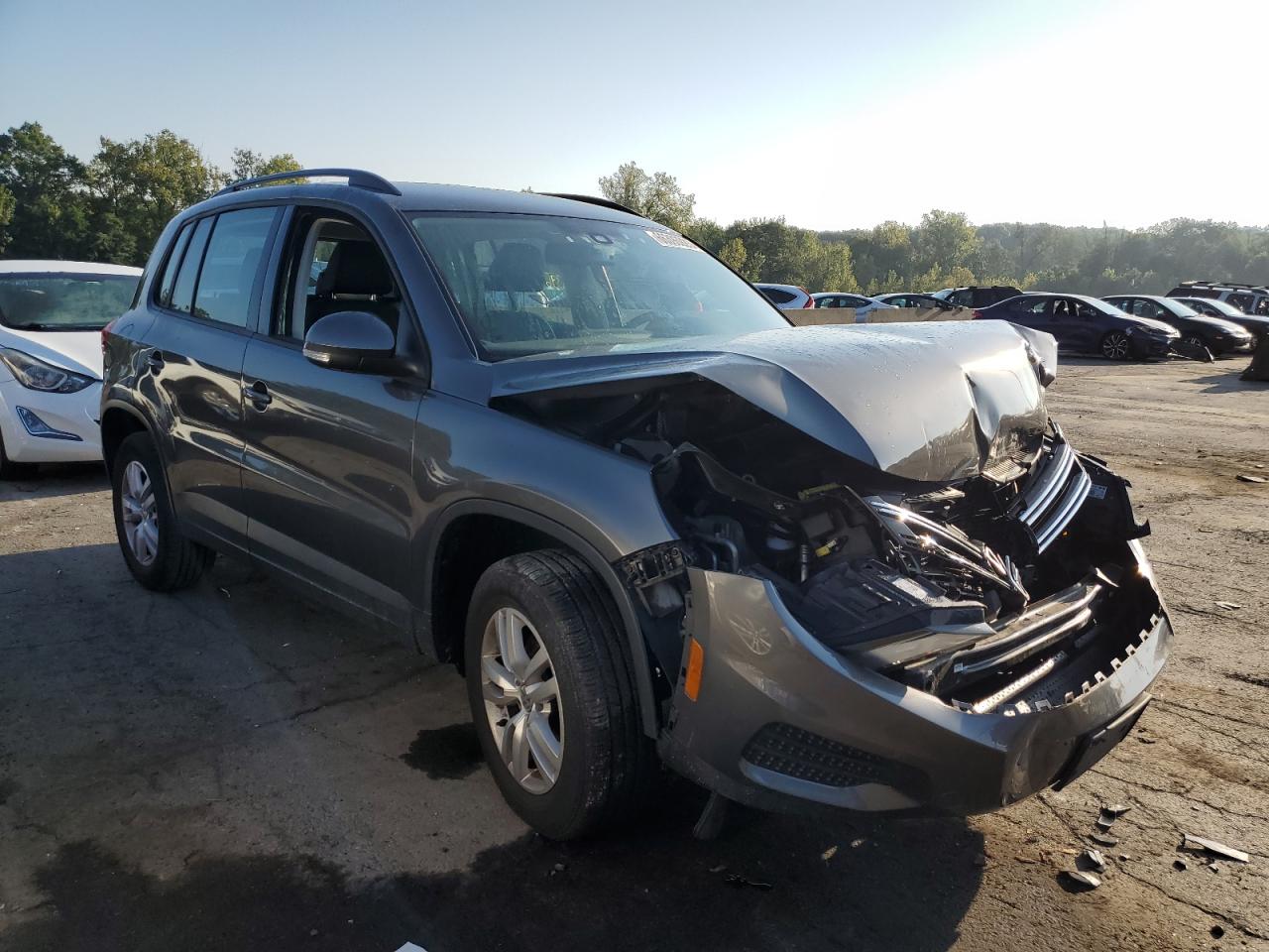 WVGAV7AX6GW613849  volkswagen tiguan 2016 IMG 3