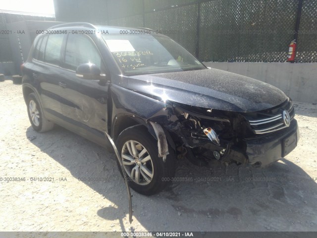 WVGBV7AX1GW614590  volkswagen tiguan 2016 IMG 5