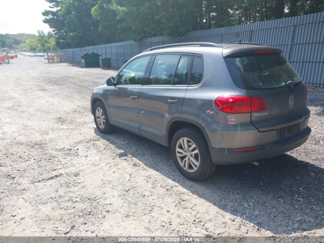 WVGBV7AX2GW577954  volkswagen tiguan 2016 IMG 2