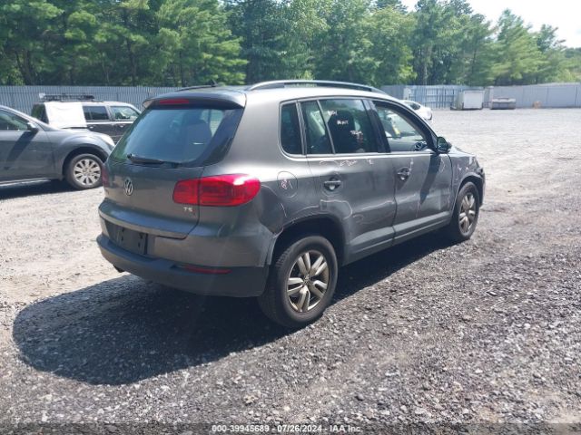 WVGBV7AX2GW577954  volkswagen tiguan 2016 IMG 3