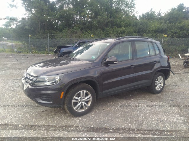 WVGBV7AX4GW594450  volkswagen tiguan 2016 IMG 1