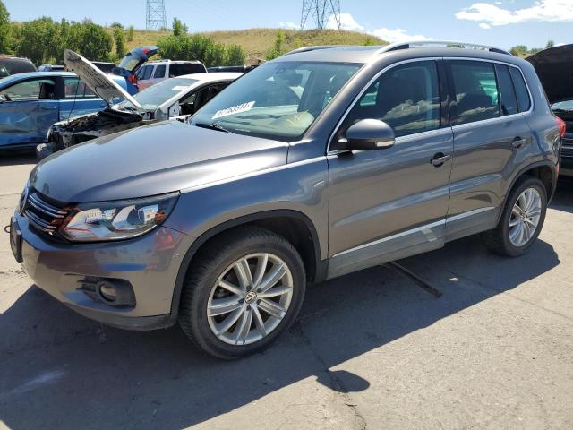 WVGBV7AX6GW575981  volkswagen tiguan 2016 IMG 0