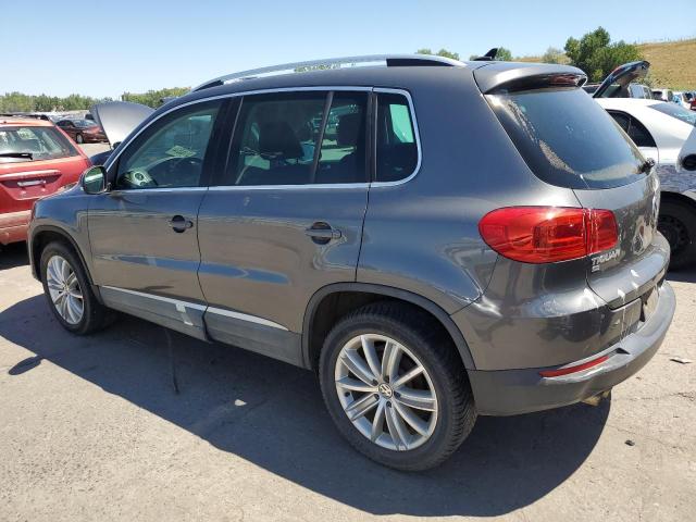 WVGBV7AX6GW575981  volkswagen tiguan 2016 IMG 1