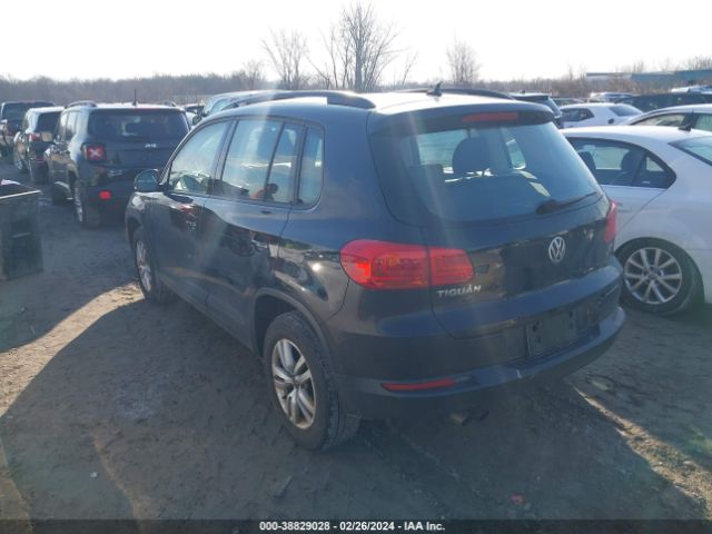 WVGBV7AX7GW546148  volkswagen tiguan 2016 IMG 2